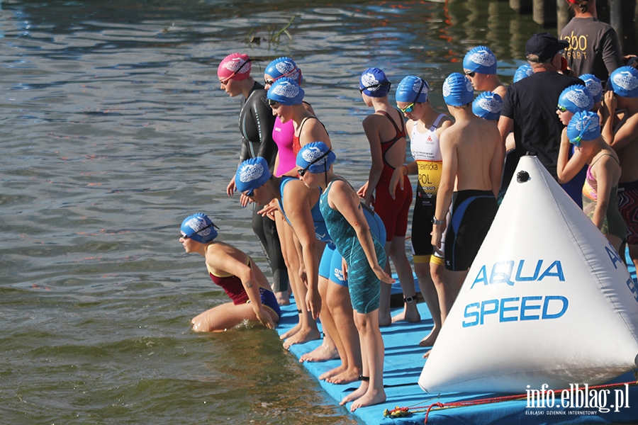 Aqua Speed Open Water Series w Elblągu, fot. 13