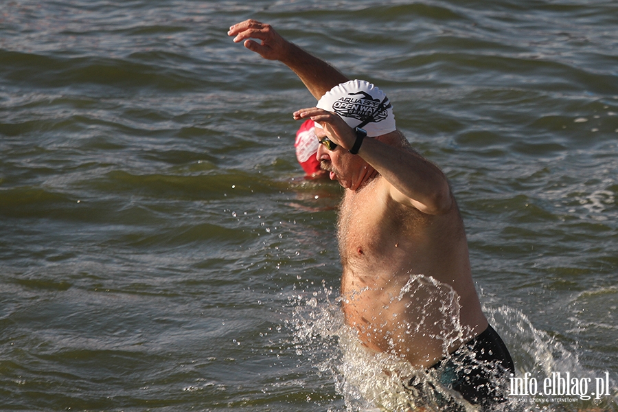 Aqua Speed Open Water Series w Elblgu, fot. 63