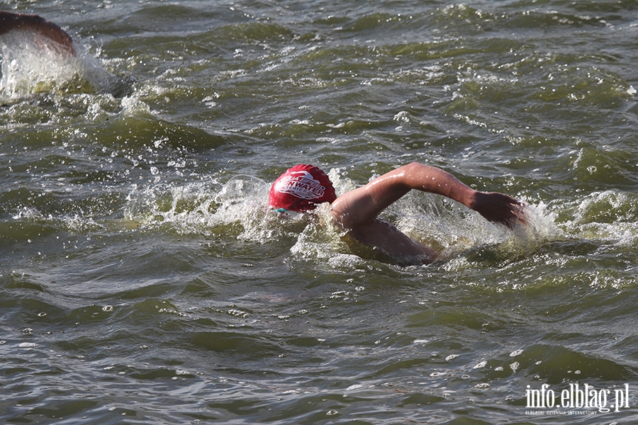 Aqua Speed Open Water Series w Elblągu, fot. 78
