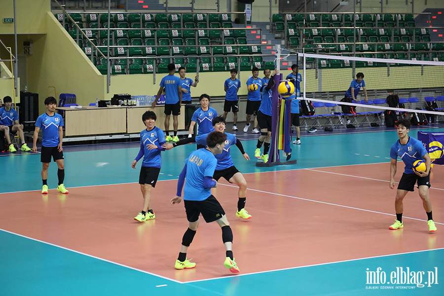 Trening Siatkówki drużyny z Japonii, fot. 9