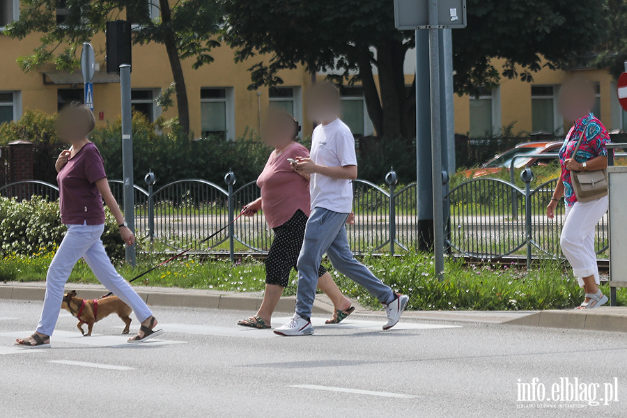 Korzystanie z telefonów na przejściach dla pieszych, fot. 12
