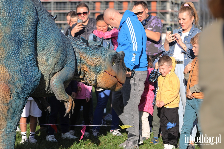 Zabawa z dinozaurami na Wyspie Spichrzów, fot. 12