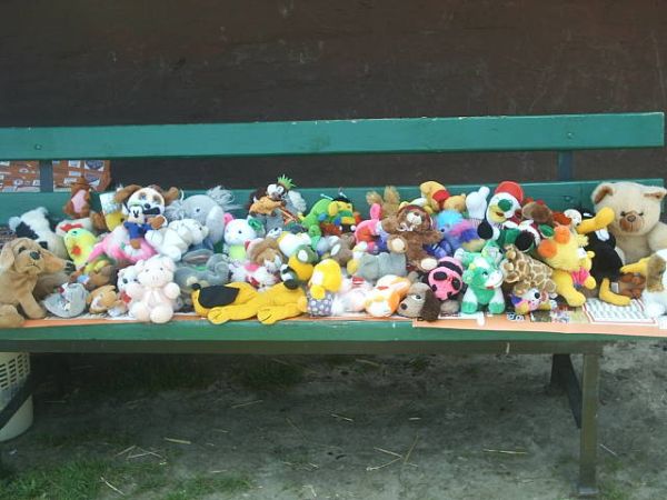 Dni Elbląga 2005 (niedziela), fot. 19