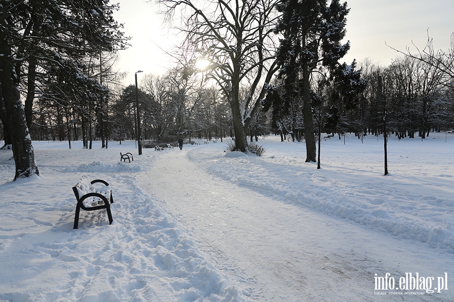 Elbląg- Pierwszy śnieg tej zimy, fot. 2