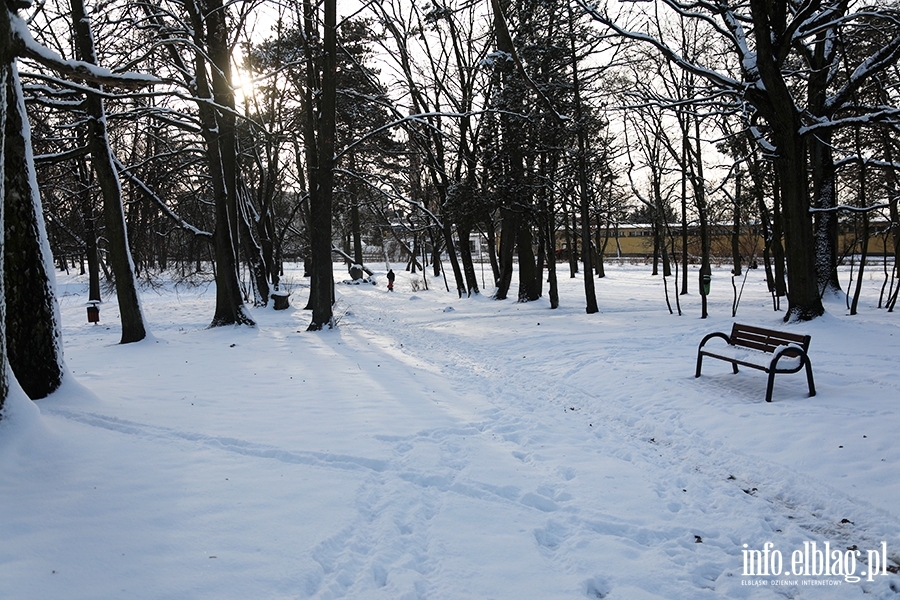 Elbląg- Pierwszy śnieg tej zimy, fot. 16