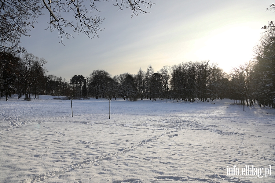 Elbląg- Pierwszy śnieg tej zimy, fot. 23