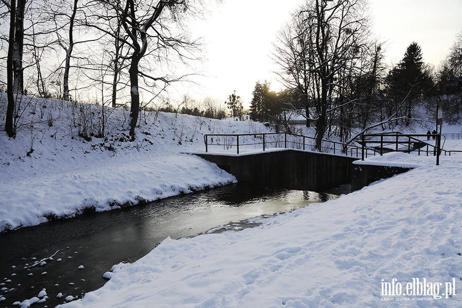 Elbląg- Pierwszy śnieg tej zimy, fot. 32