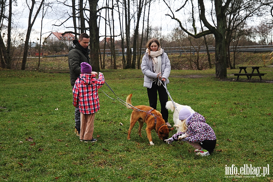 Bieg na sześć łap - luty 2025, fot. 27