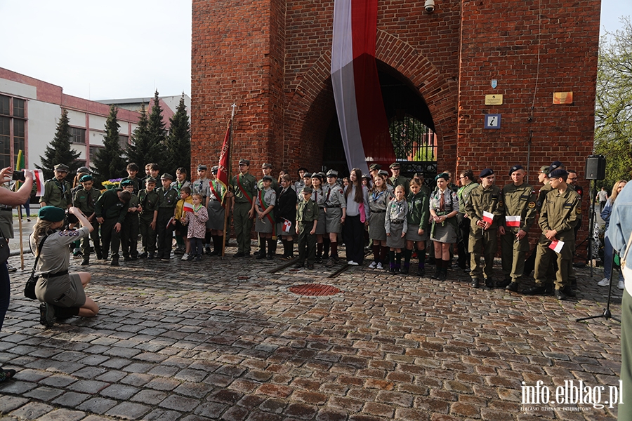 Elblanie przeszli z 50-metrow flag, fot. 47