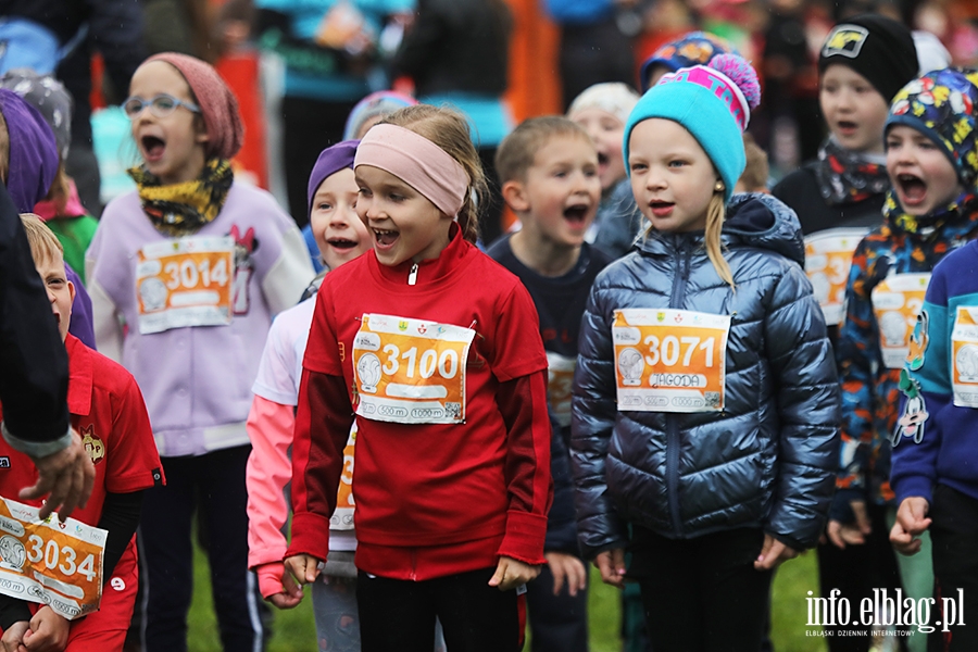 Meble Wjcik Ultra Wysoczyzna - Junior i Huk Sowy, fot. 22
