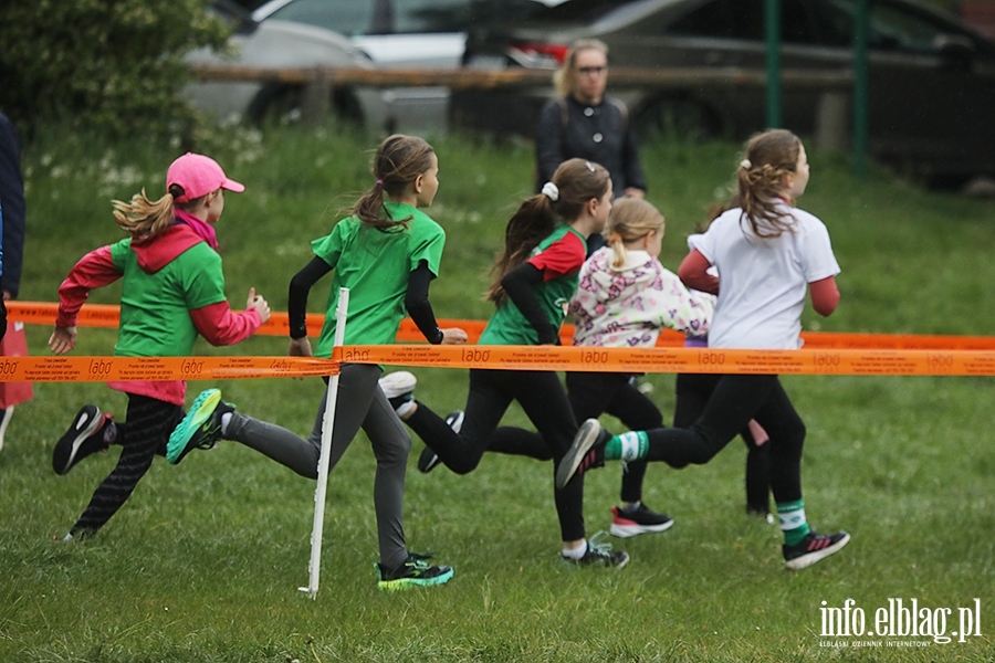 Meble Wjcik Ultra Wysoczyzna - Junior i Huk Sowy, fot. 26