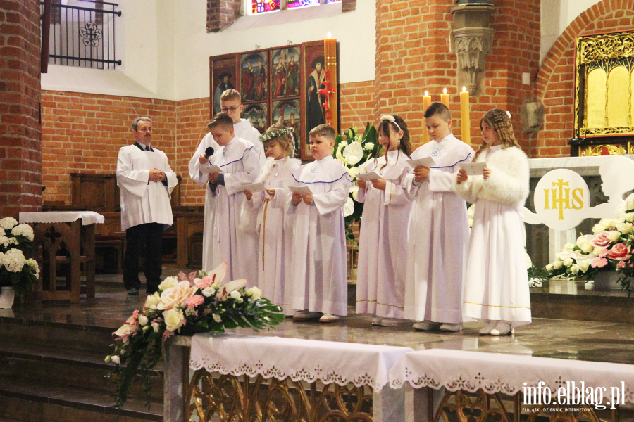 Pierwsza komunia wita w katedrze w. Mikoaja, fot. 20