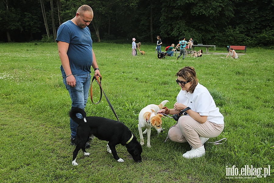 Bieg na 6 ap - czerwiec, fot. 14