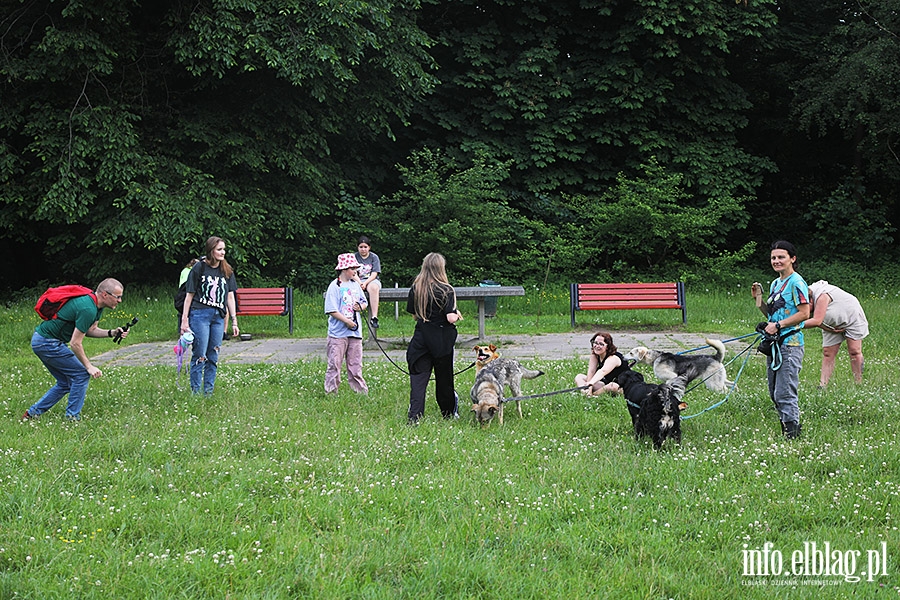 Bieg na 6 ap - czerwiec, fot. 16
