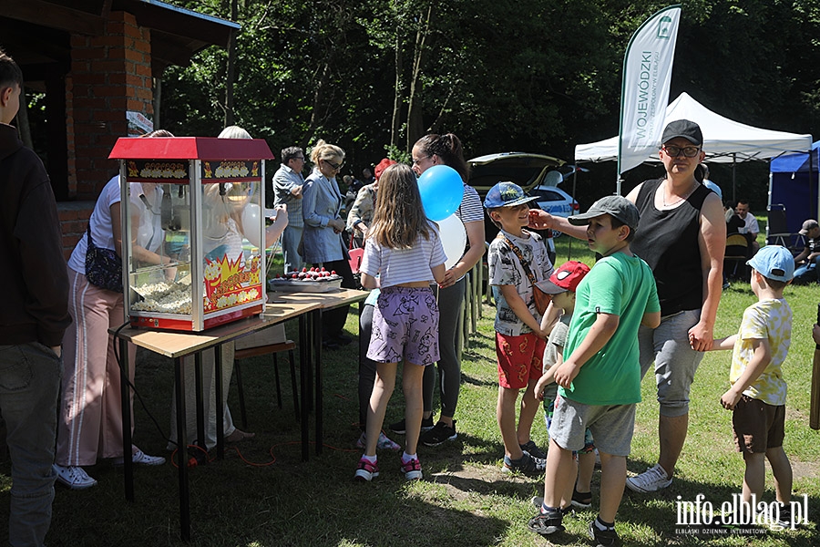 Piknik rodzinny w Bażantarnii, fot. 13