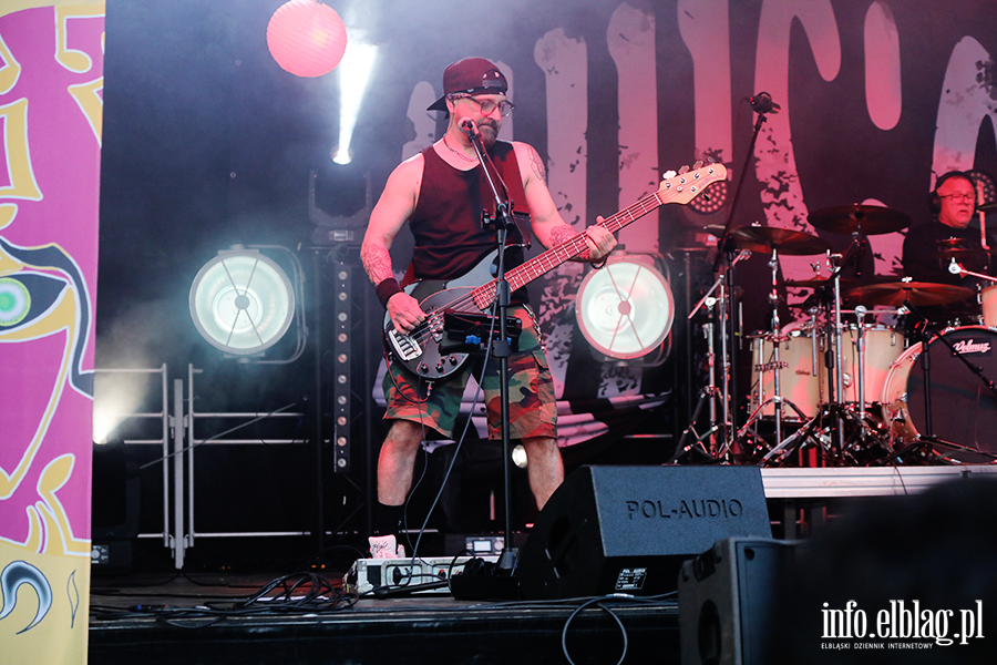 Elblskie wito Muzyki. Na scenie Cinnamon Gum i Illusion, fot. 97