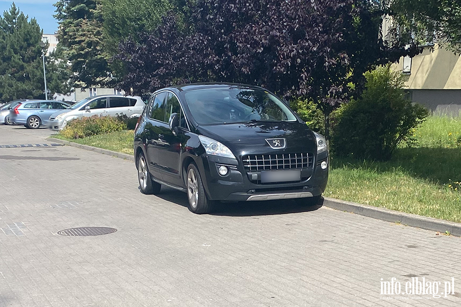Mistrzowie Parkowania w Elblgu (cz 403), fot. 6