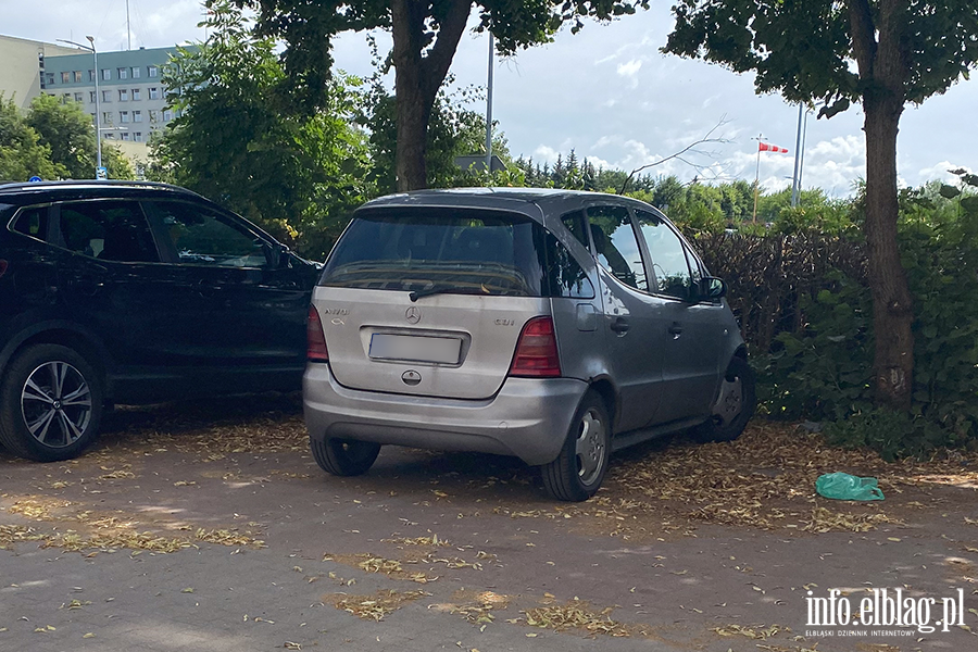 Mistrzowie Parkowania w Elblgu (cz 403), fot. 11