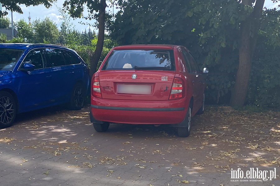Mistrzowie Parkowania w Elblgu (cz 404), fot. 11