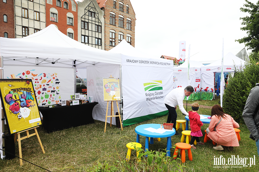 Kosmiczny piknik na Starym Miecie, fot. 38