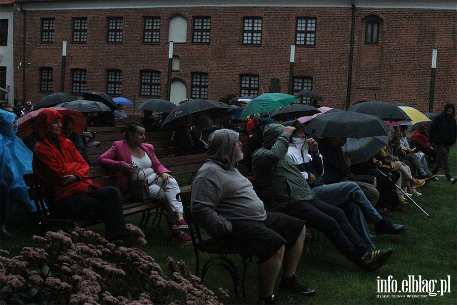 Koncert Lecha Janerki, fot. 4