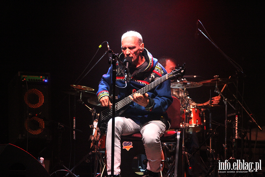 Koncert Lecha Janerki, fot. 15