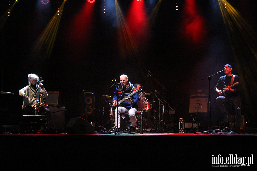 Koncert Lecha Janerki, fot. 20