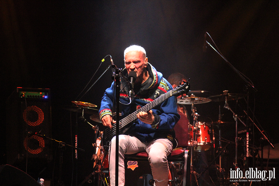 Koncert Lecha Janerki, fot. 38