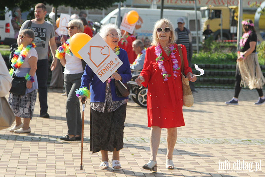 Elblscy seniorzy rozpoczli witowanie, fot. 38