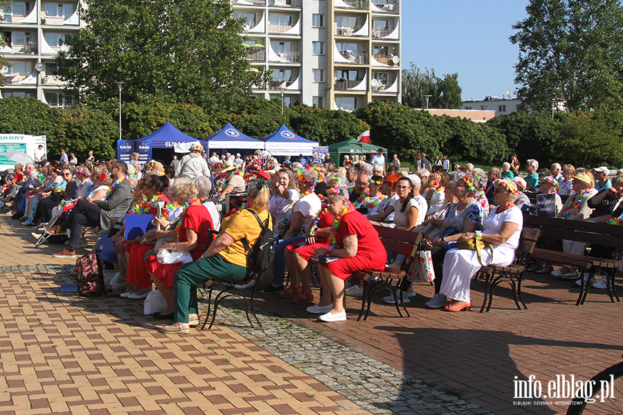 Elblscy seniorzy rozpoczli witowanie, fot. 48