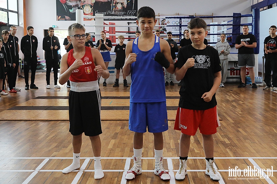 KSW Tygrys - Sparingi, fot. 31
