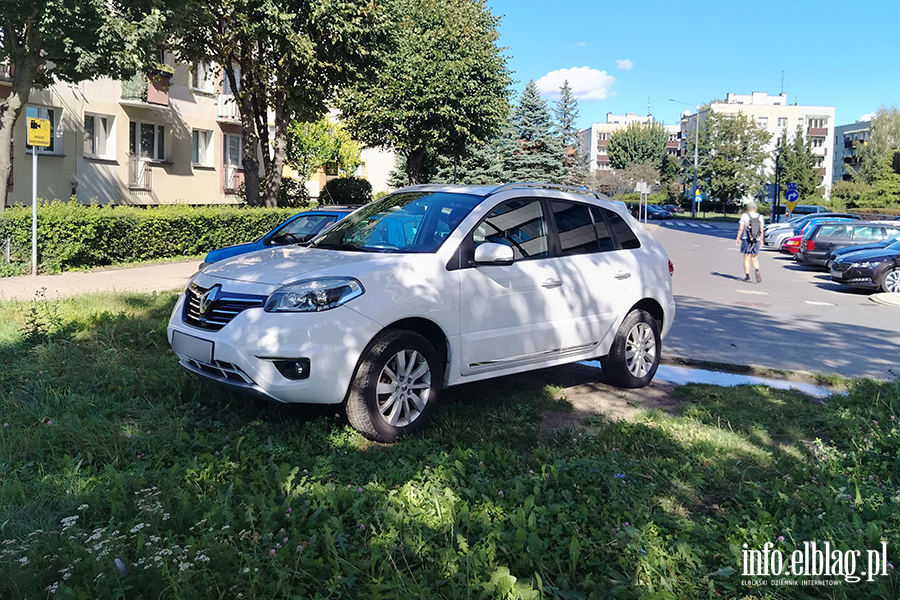 Mistrzowie Parkowania w Elblgu (cz 417), fot. 7