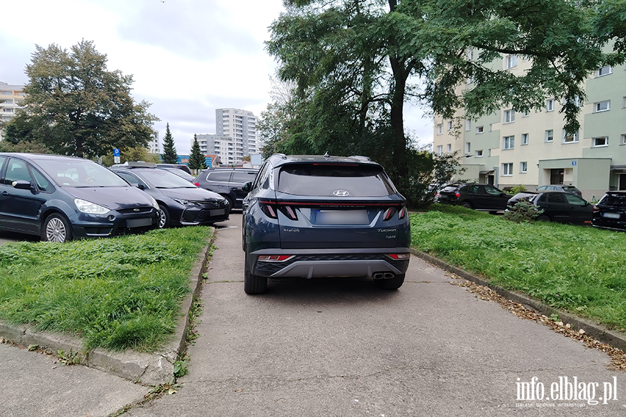 Mistrzowie Parkowania w Elblgu (cz 423), fot. 5