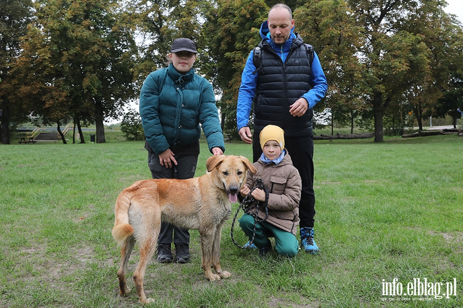 Padziernikowy Bieg na 6 ap, fot. 7