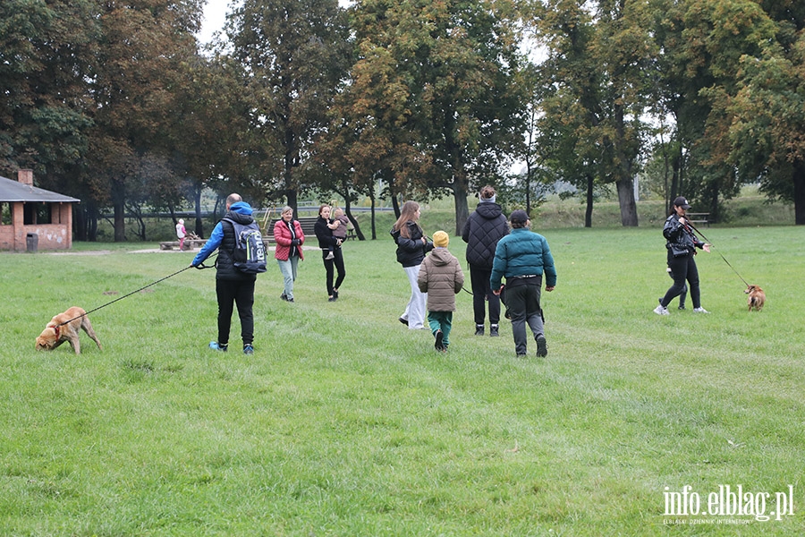 Padziernikowy Bieg na 6 ap, fot. 11
