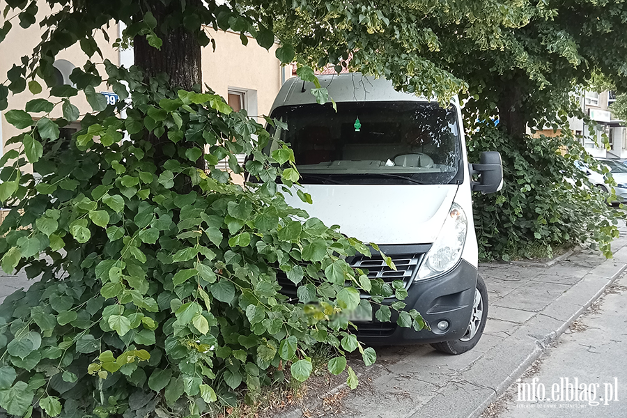 Mistrzowie Parkowania w Elblgu (cz 424), fot. 7