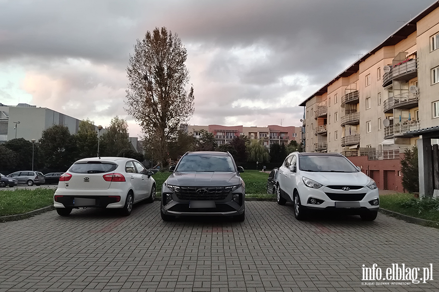 Mistrzowie Parkowania w Elblgu (cz 426), fot. 9