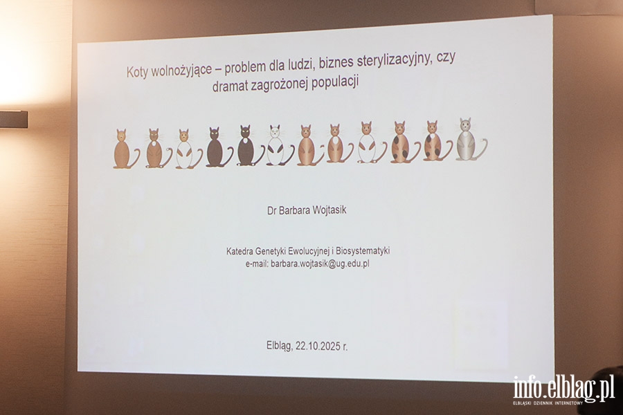 Debata o kotach wolno yjcych, fot. 20