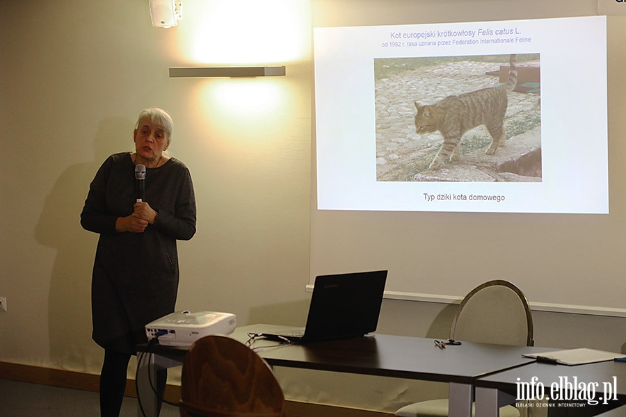 Debata o kotach wolno yjcych, fot. 22