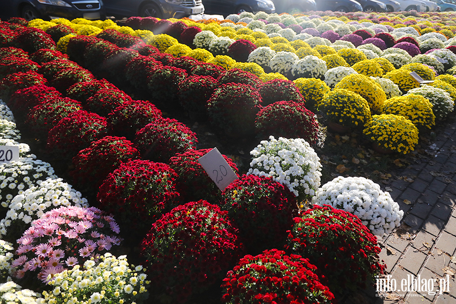 Elblanie odwiedzili groby bliskich, fot. 4