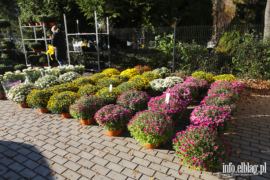 Elblanie odwiedzili groby bliskich, fot. 14