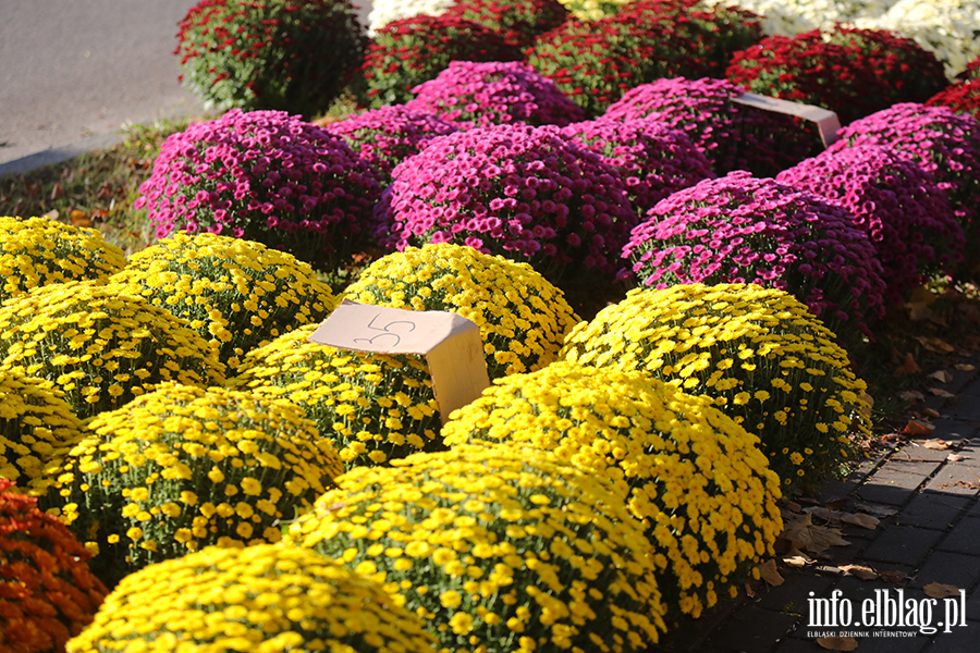 Elblanie odwiedzili groby bliskich, fot. 18