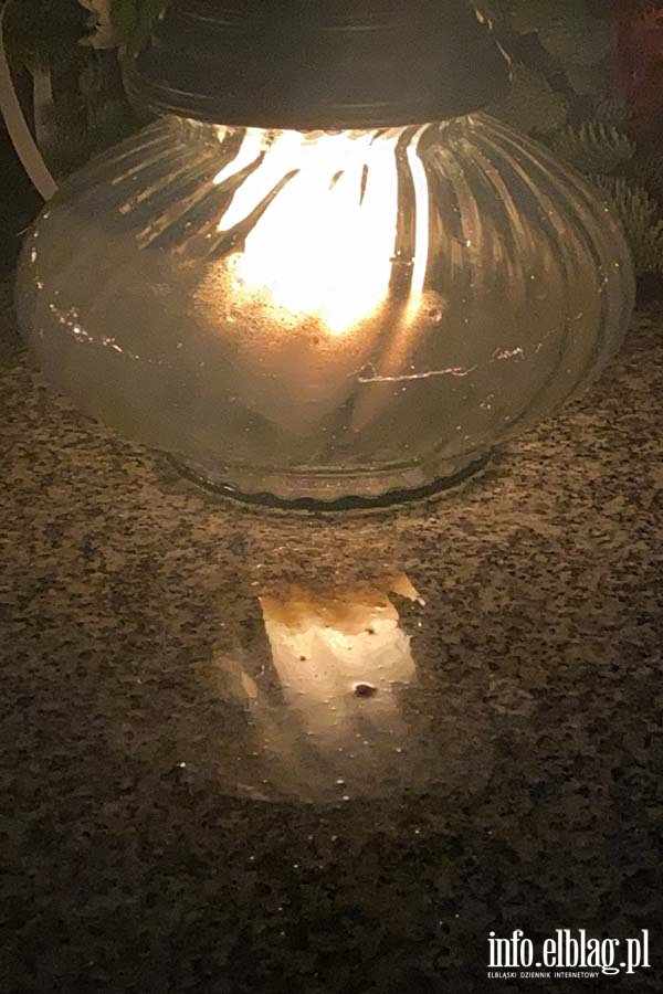 Cmentarz Agrykola, fot. 5