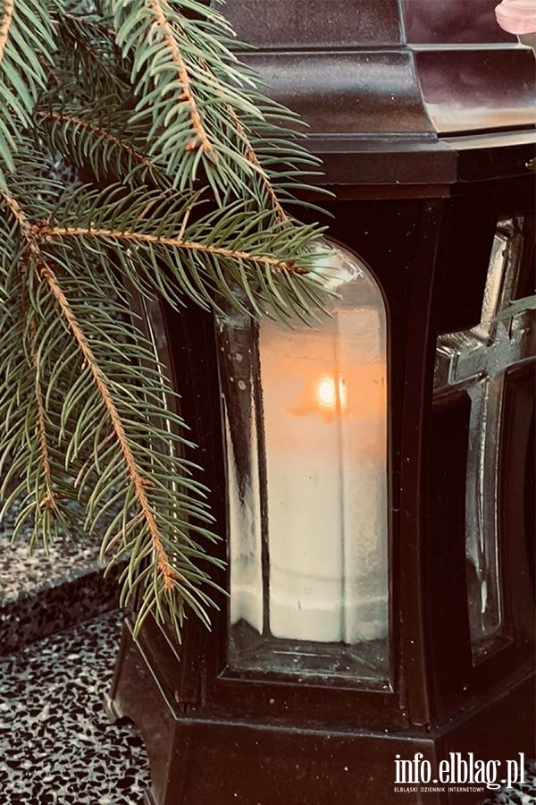 Cmentarz Agrykola, fot. 6