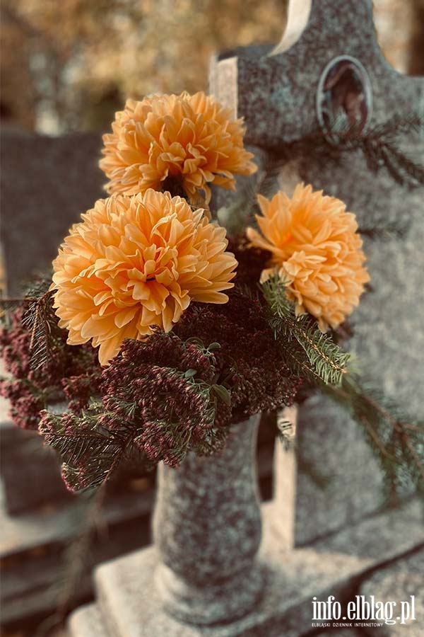 Cmentarz Agrykola, fot. 8