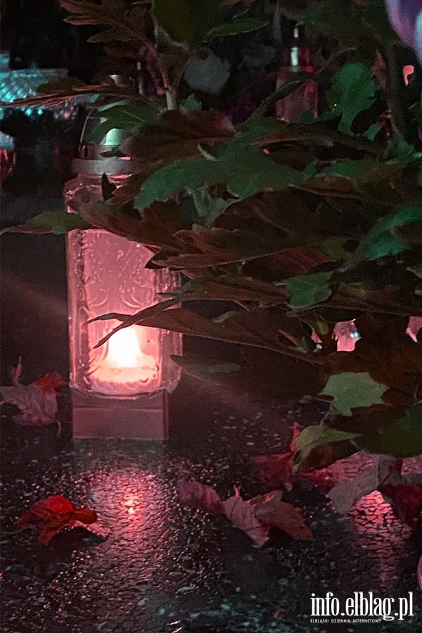 Cmentarz Agrykola, fot. 18