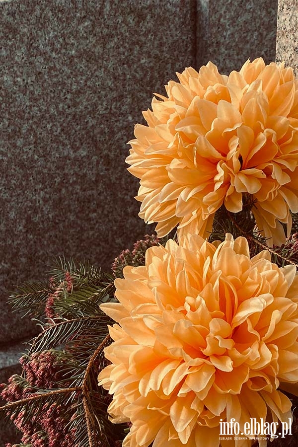 Cmentarz Agrykola, fot. 23