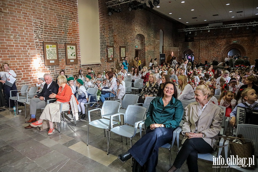 Festiwal Piosenki Patriotycznej , fot. 1