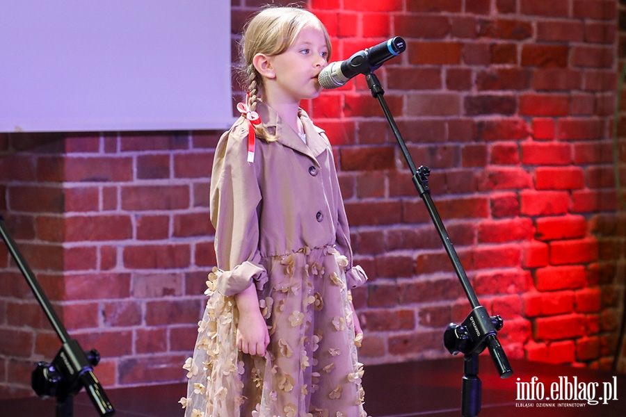 Festiwal Piosenki Patriotycznej , fot. 33