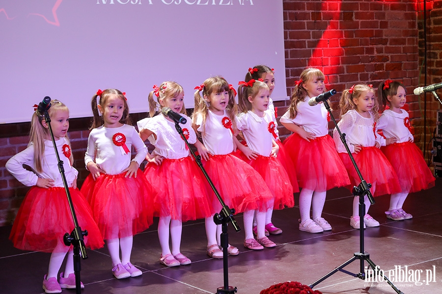 Festiwal Piosenki Patriotycznej , fot. 35